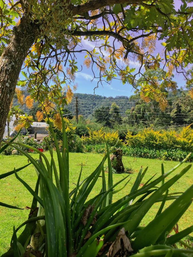 Andrews Hostel Nuwara Eliya Dış mekan fotoğraf